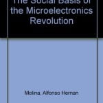 The Social Basis of the Microelectronics Revolution